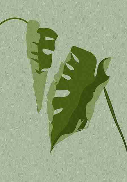 原汁原味51网在线观看创作范式深度聚焦·立体呈现，原汁原味意思是什么