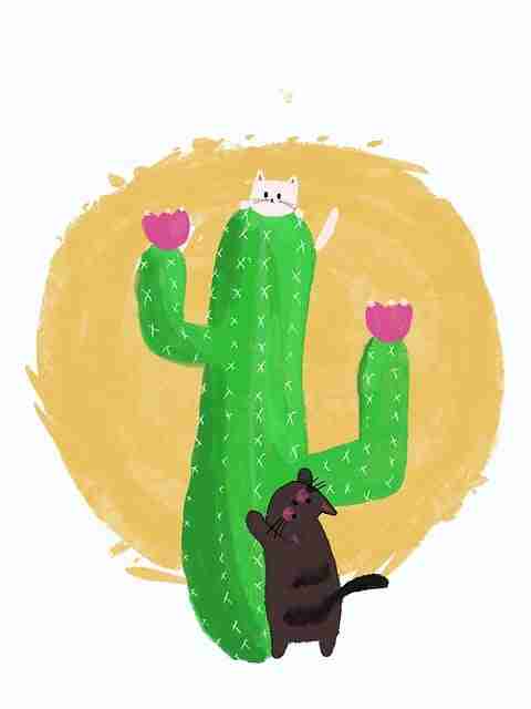 独家视角·黑料社app下载官网·舆论旋涡(附时间轴)