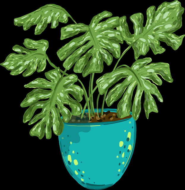 【蘑菇影视官网】深夜新媒体密码追风 - 策略指南,蘑菇影视在线官网免费下载