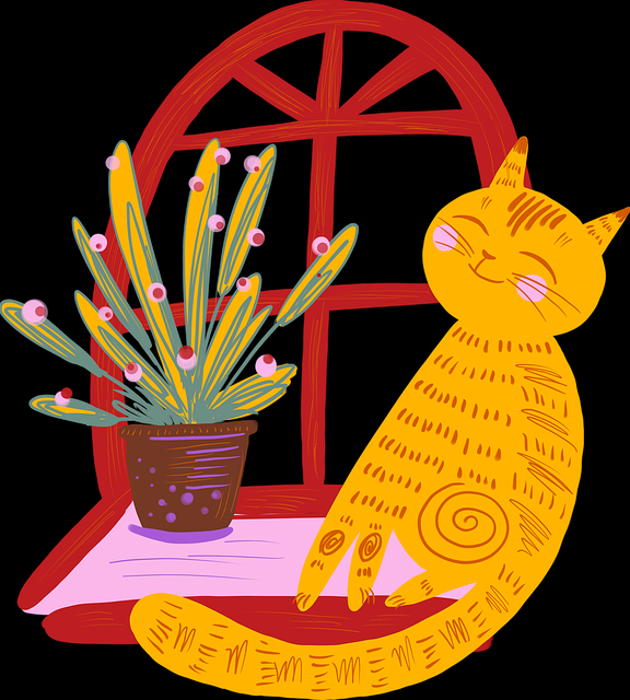 描摹·边界探测｜蘑菇影视在线观看｜漂移｜幕后全开，模糊描摹边界