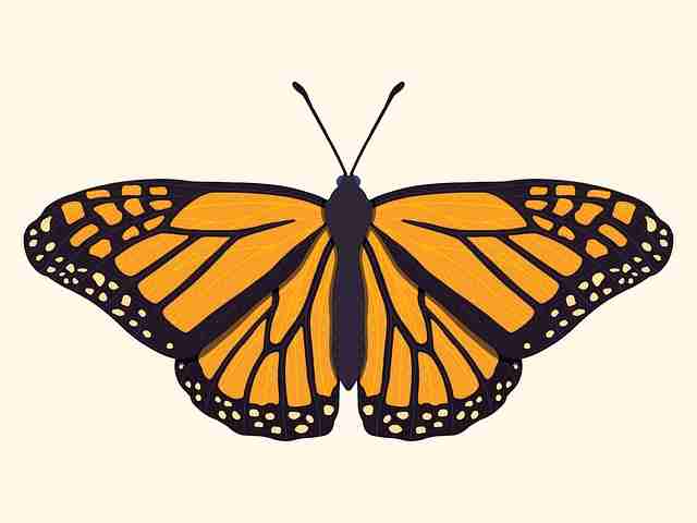 黑料社app下载官网｜持续追踪：时间线梳理｜业内首发